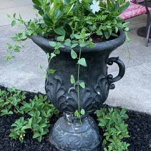 Meet your Posher, Kristina